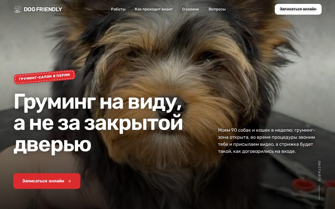 Сайт DOG FRIENDLY, собранный Vitrine